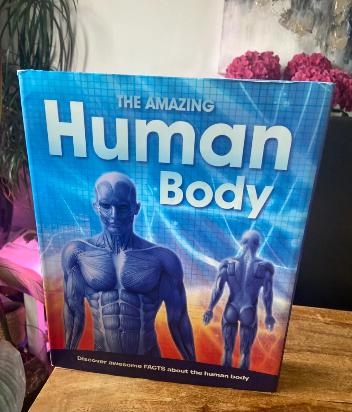 Kids Educational Book: The AMAZING HUMAN BODY (Hardcover)