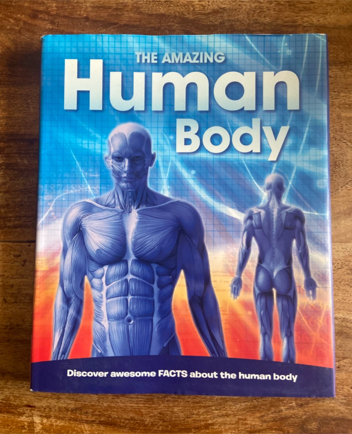 Kids Educational Book: The AMAZING HUMAN BODY (Hardcover) - photo 2