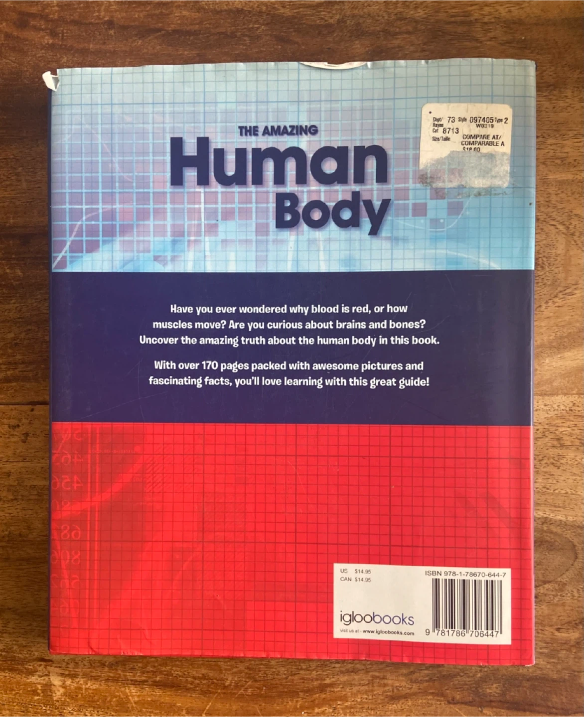Kids Educational Book: The AMAZING HUMAN BODY (Hardcover) - photo 3