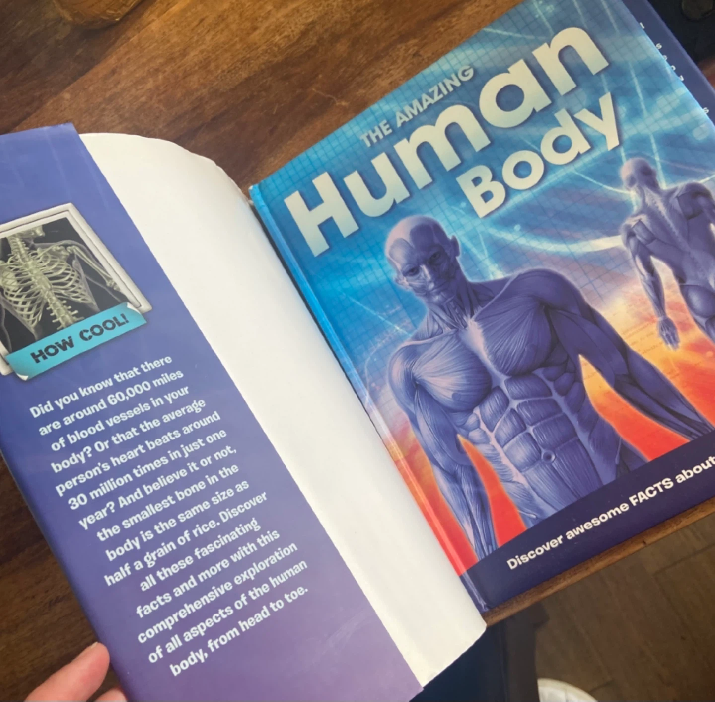 Kids Educational Book: The AMAZING HUMAN BODY (Hardcover) - photo 5