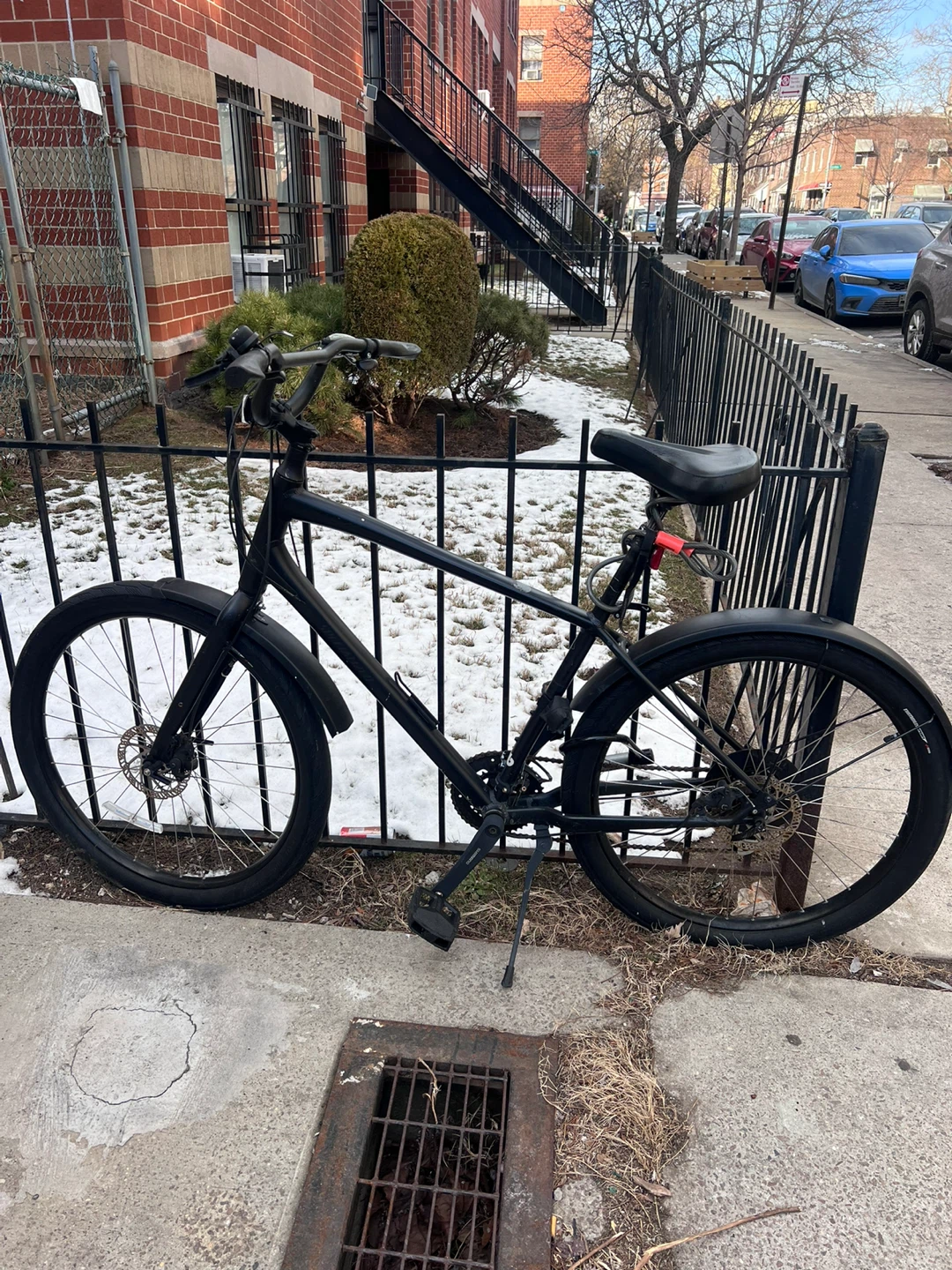 Black Cruiser Bike with Fenders