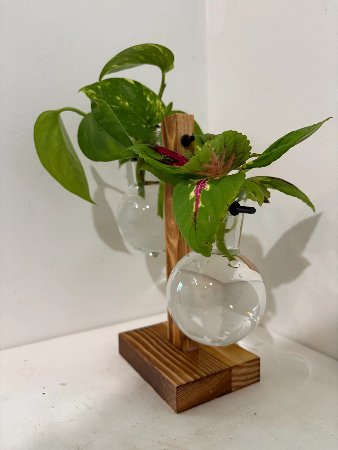 Small space, big charm 🌿 - photo 2