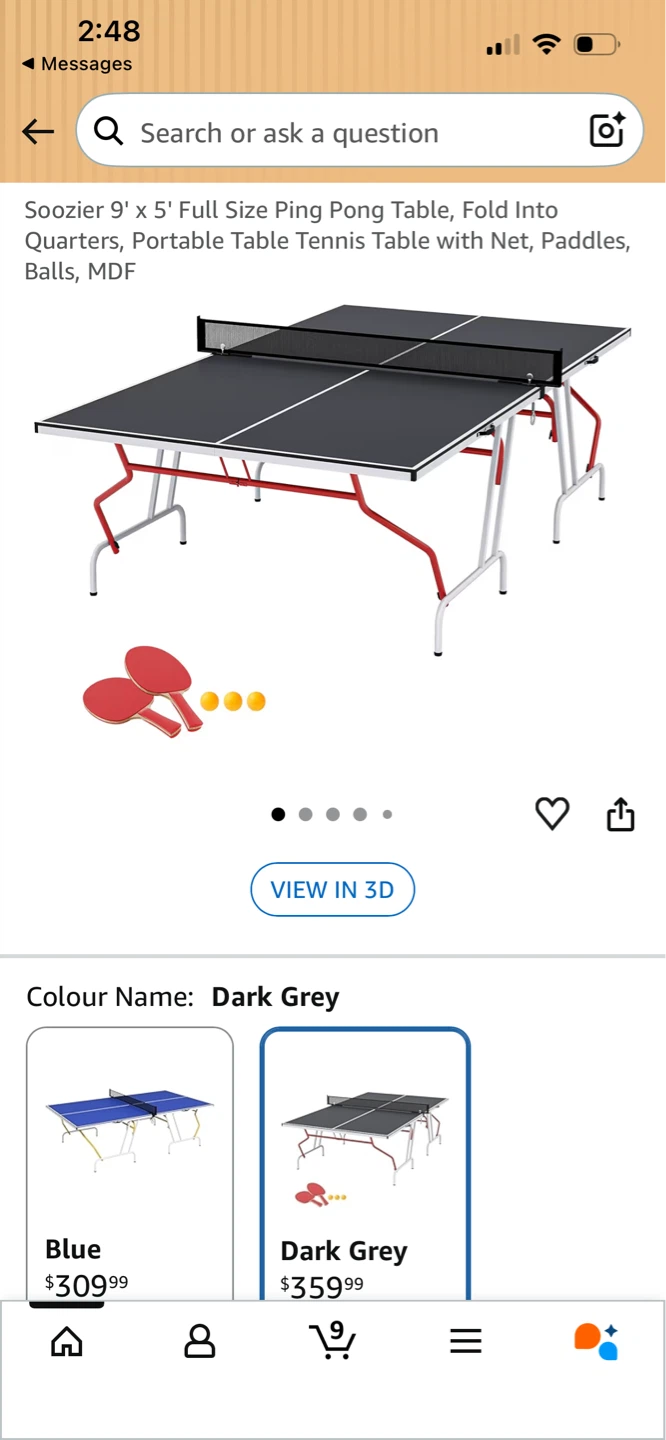 Ping pong table