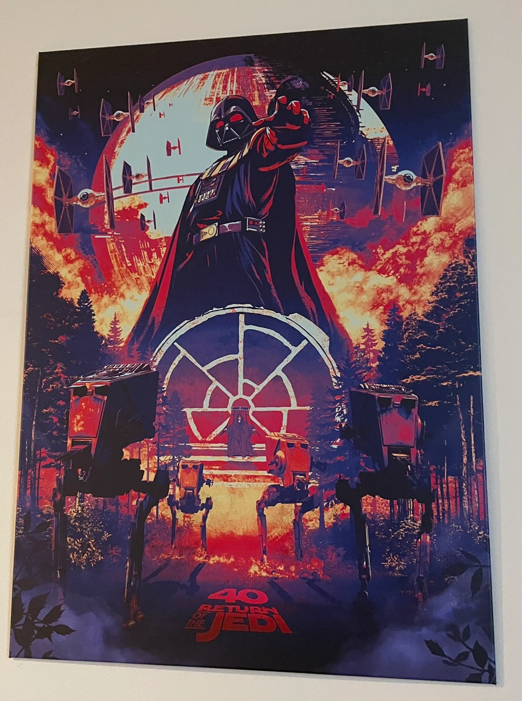 Star Wars & Harry Potter Canvas Prints - photo 3