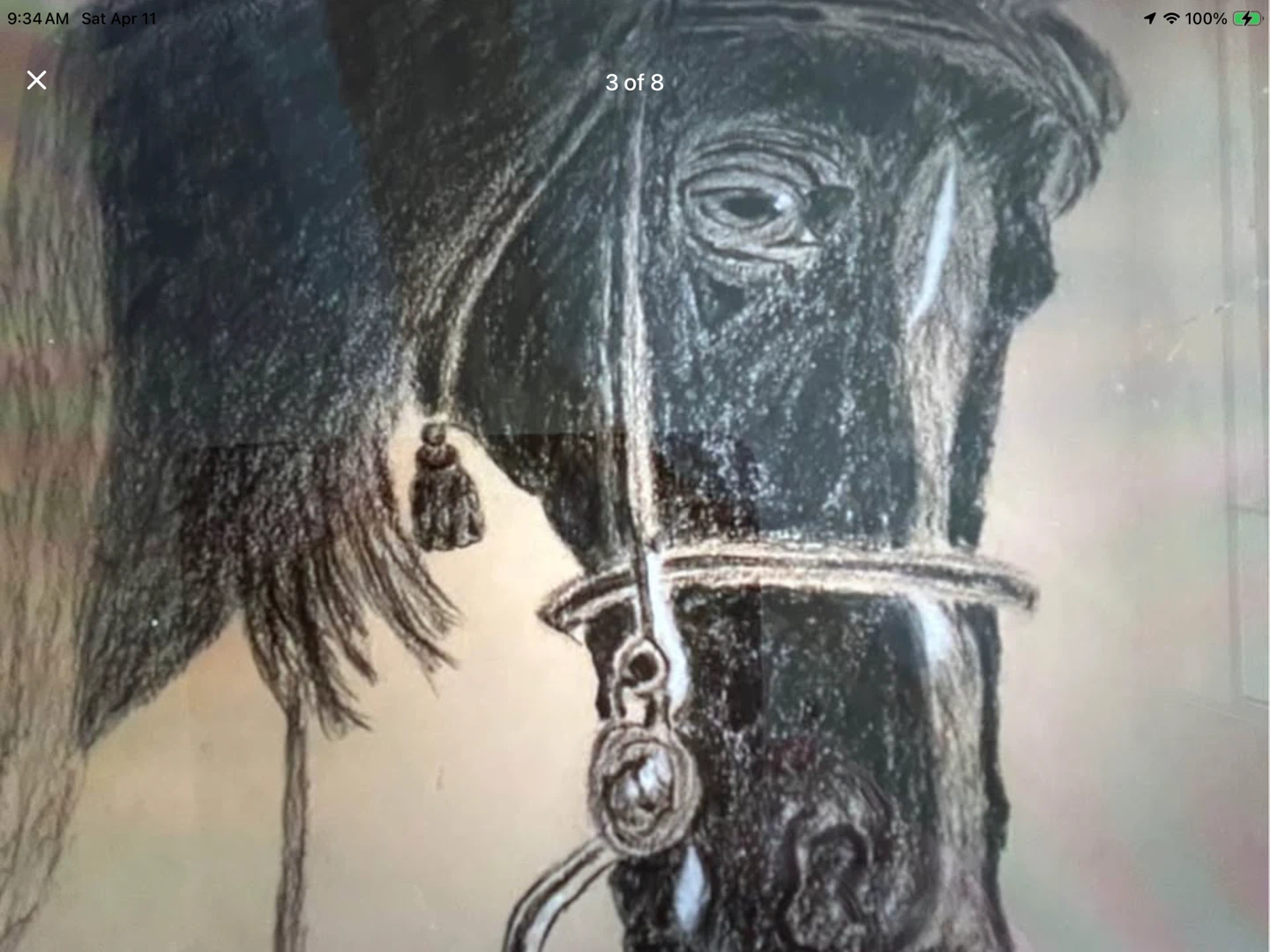 1899 Horse Etching/Drawing by the Artist Kate Salisbury 🐞 - photo 3