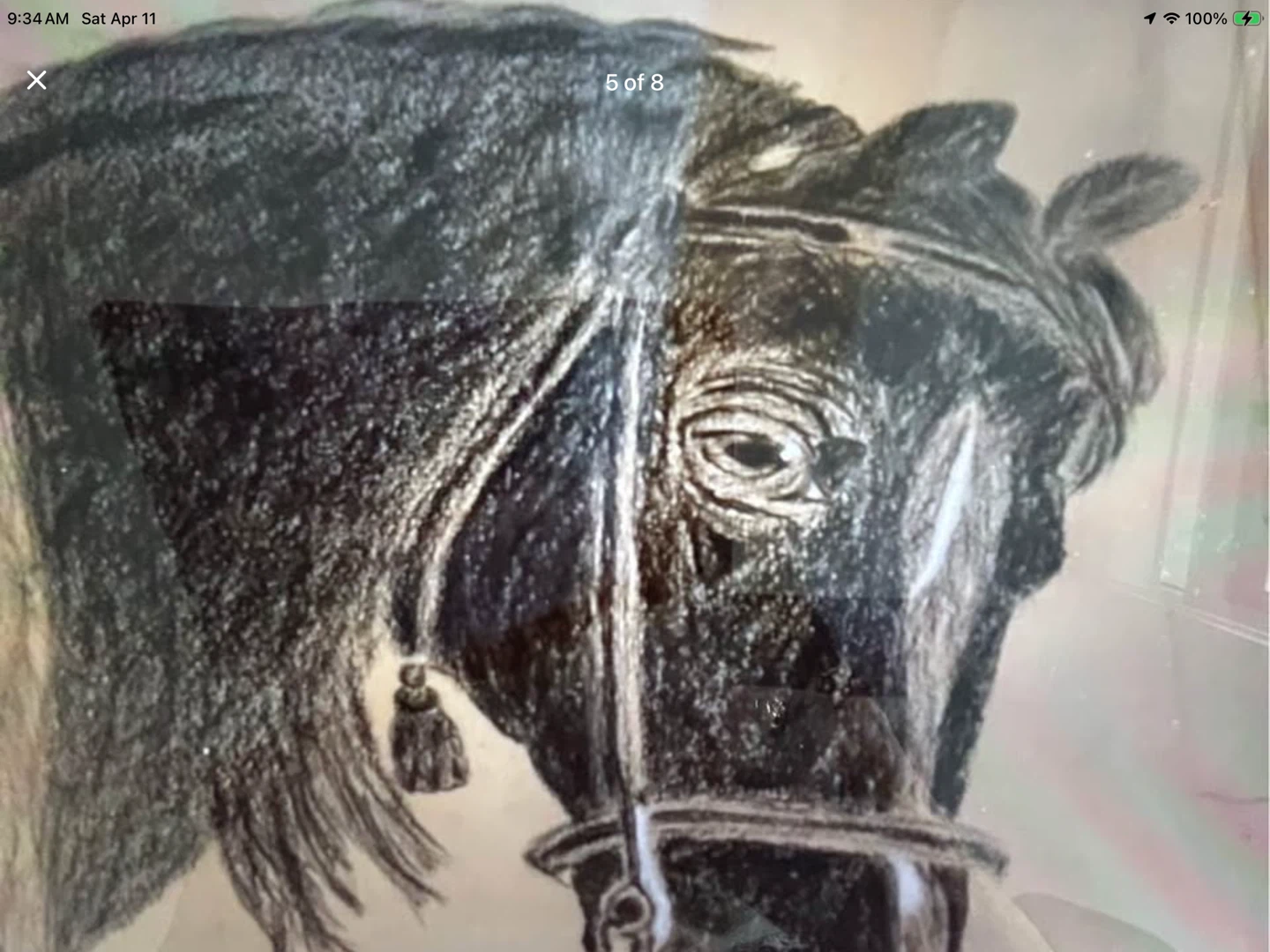 1899 Horse Etching/Drawing by the Artist Kate Salisbury 🐞 - photo 5