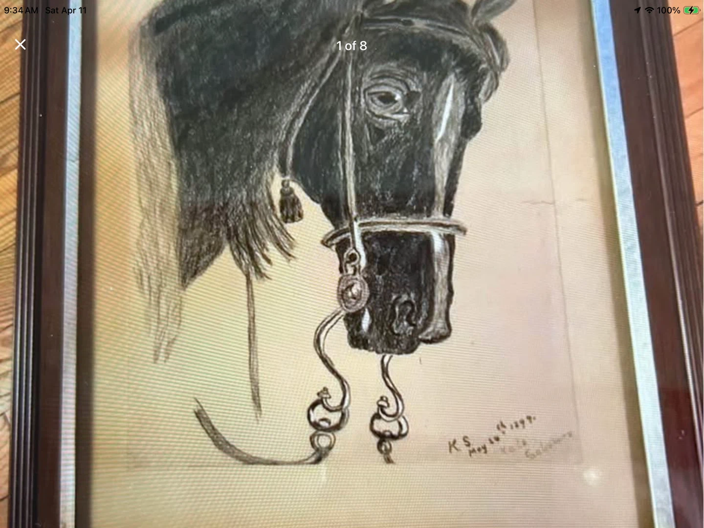 1899 Horse Etching/Drawing by the Artist Kate Salisbury 🐞
