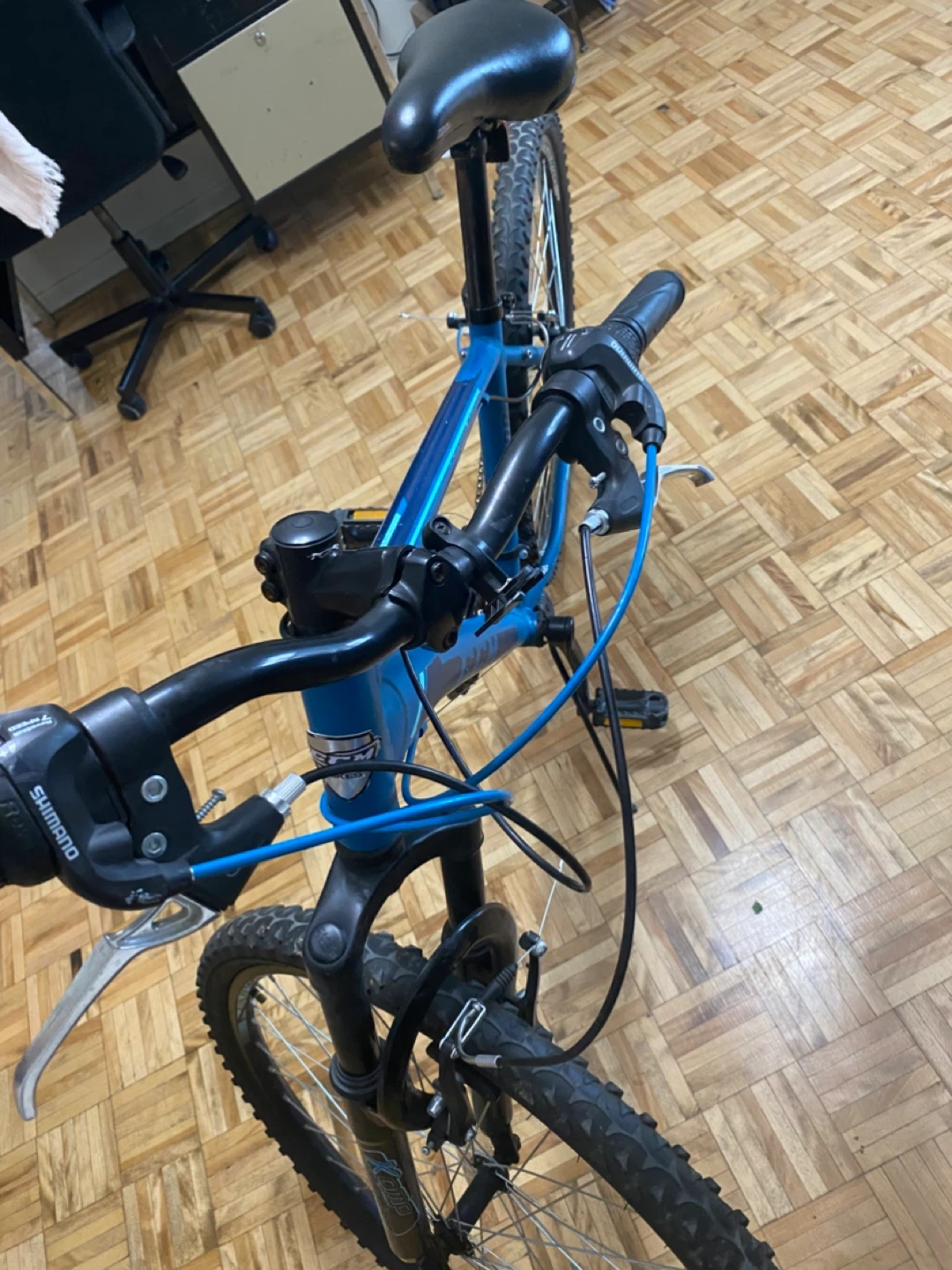 Blue Mountain Bike