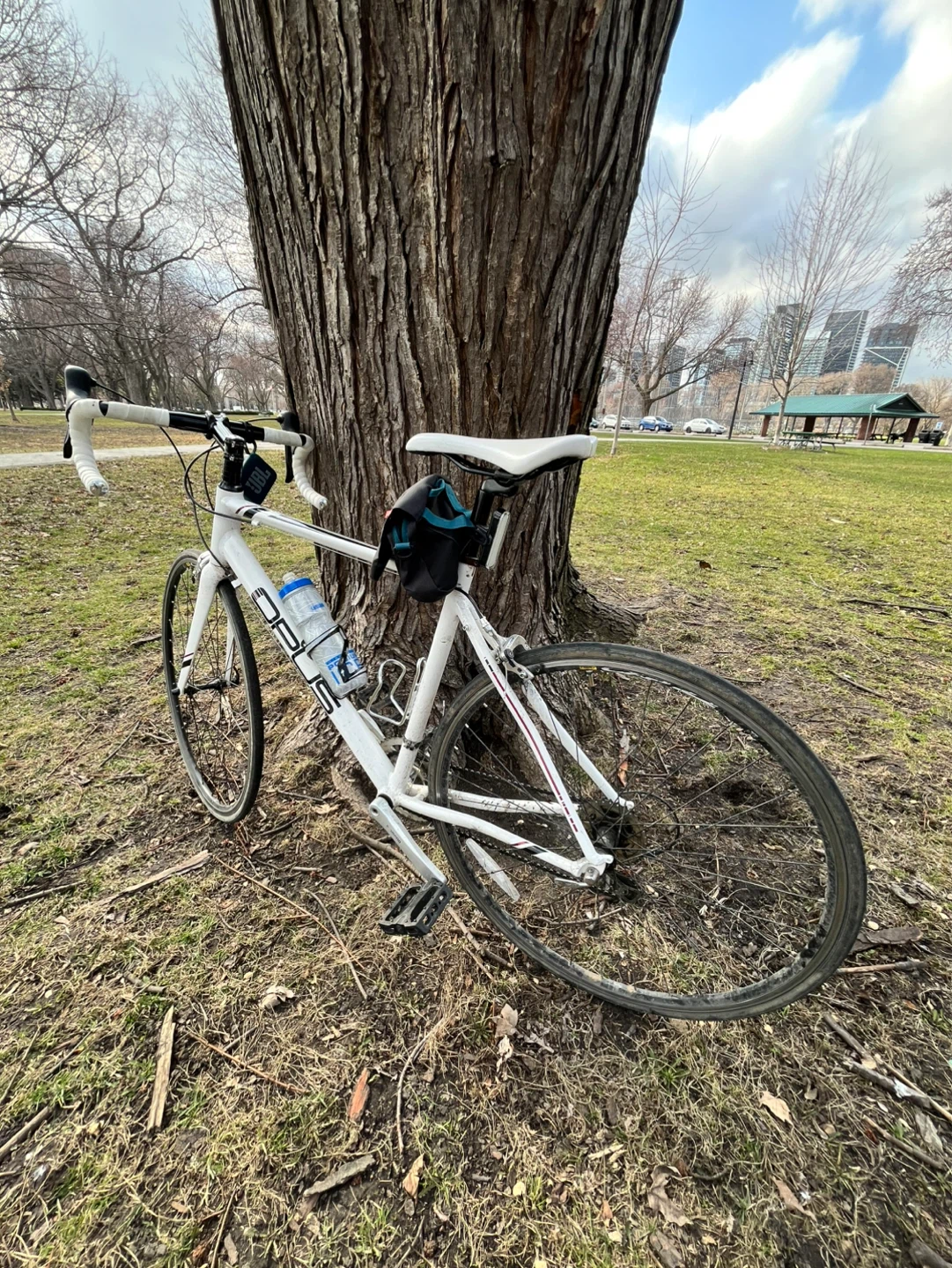 Opus Andante 3.0 Road Bike - photo 4