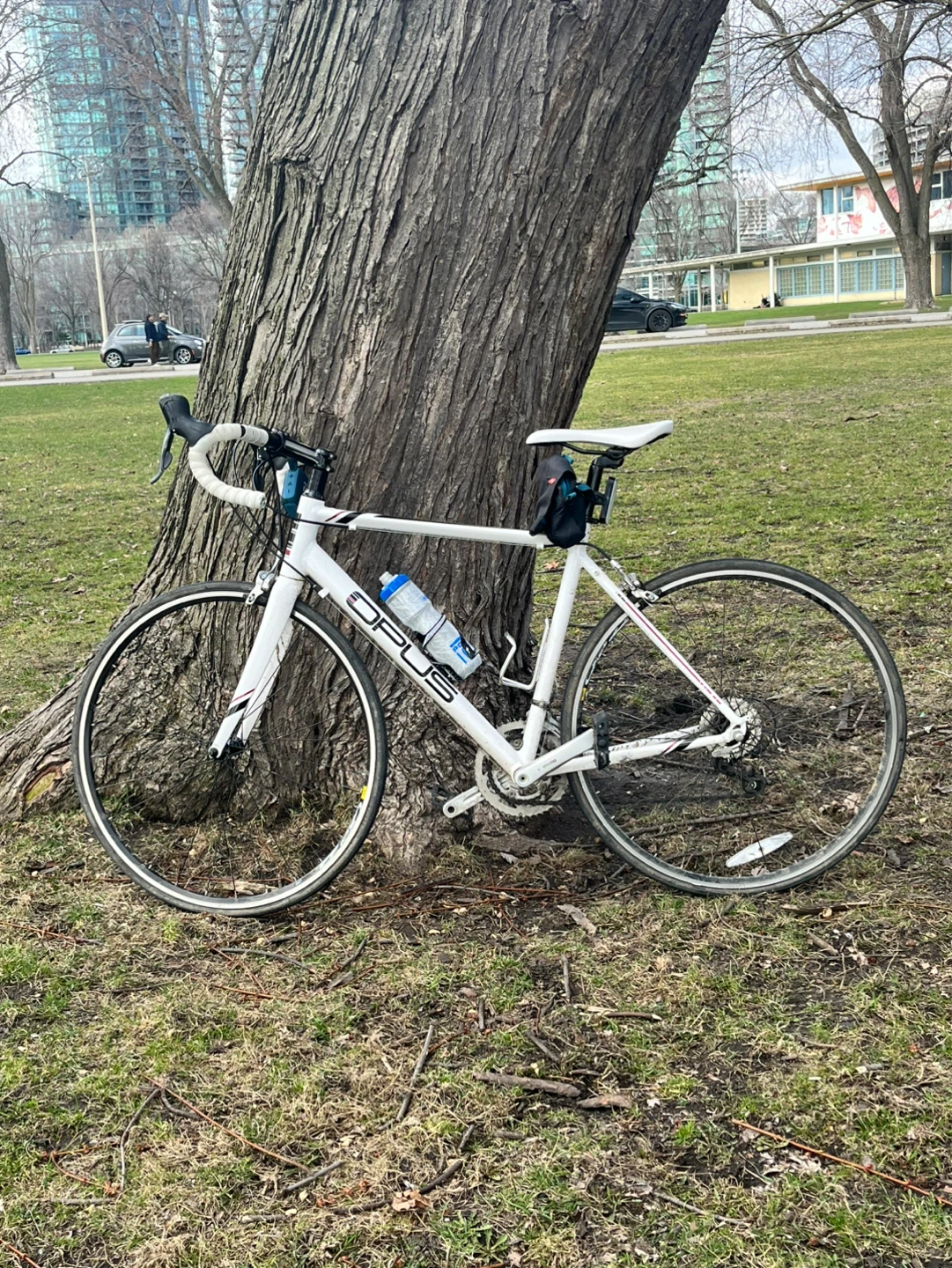 Opus Andante 3.0 Road Bike - photo 2