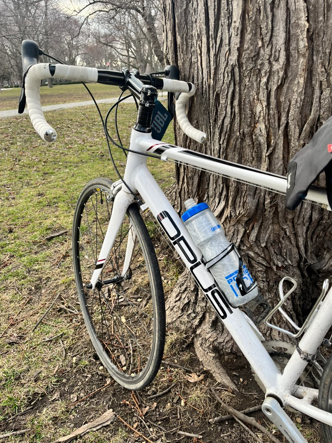 Opus Andante 3.0 Road Bike - photo 5