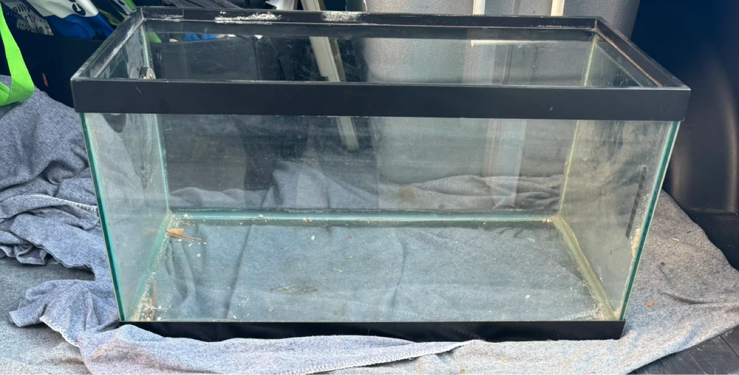 15 gallon fish tank