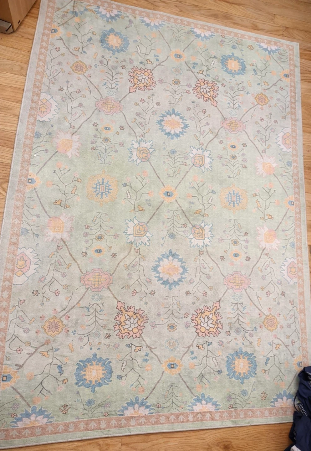 Light Green Floral Area Rug