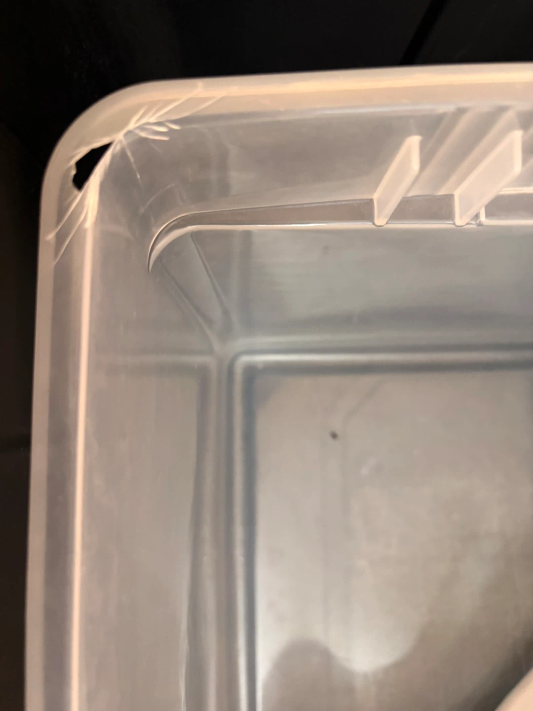 Sterilite ClearView Storage Bin with Lid - photo 4