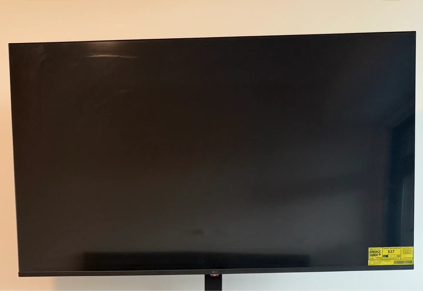 LG 55-inch TV
