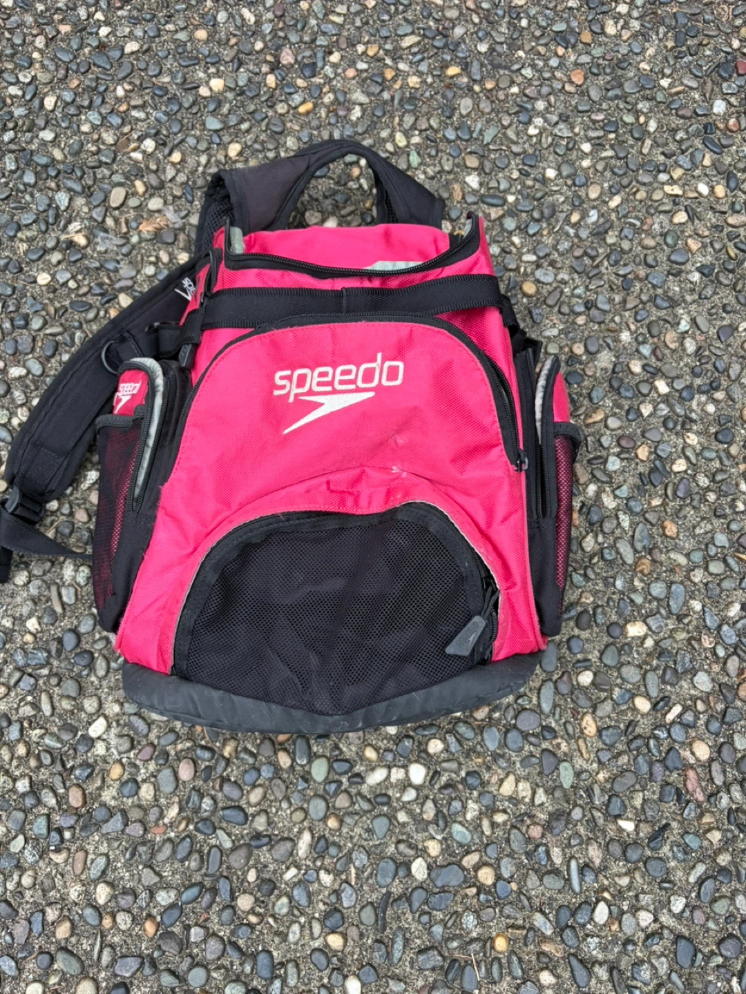 Speedo Pink Backpack