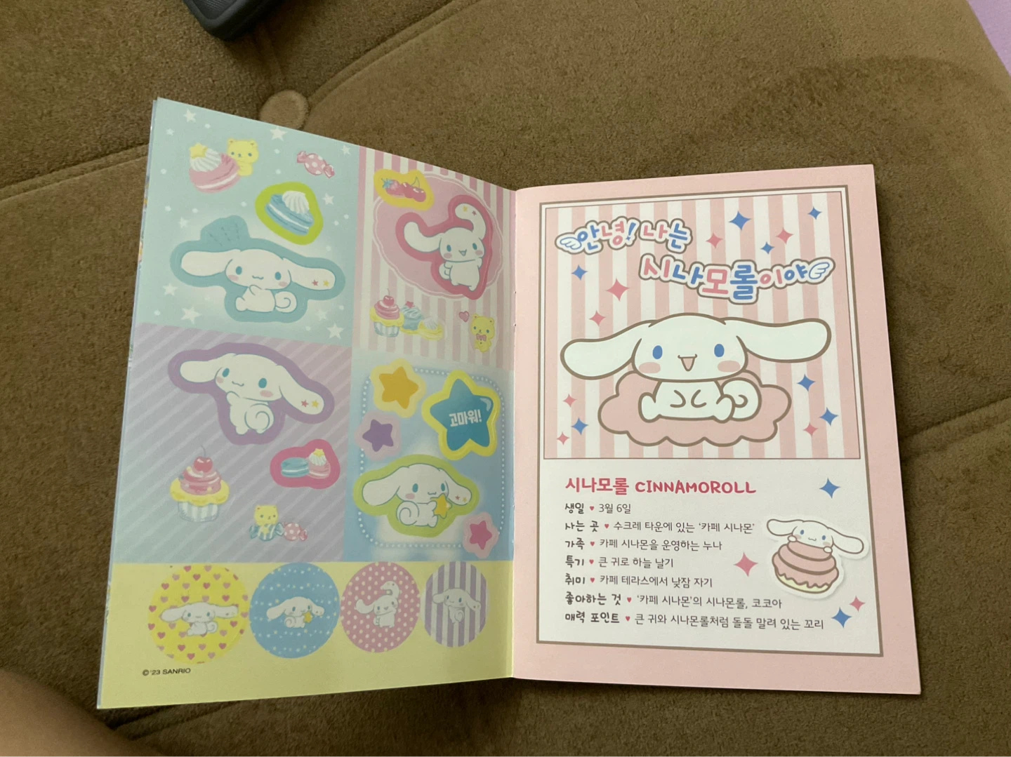 Cinnamoroll Sticker Book