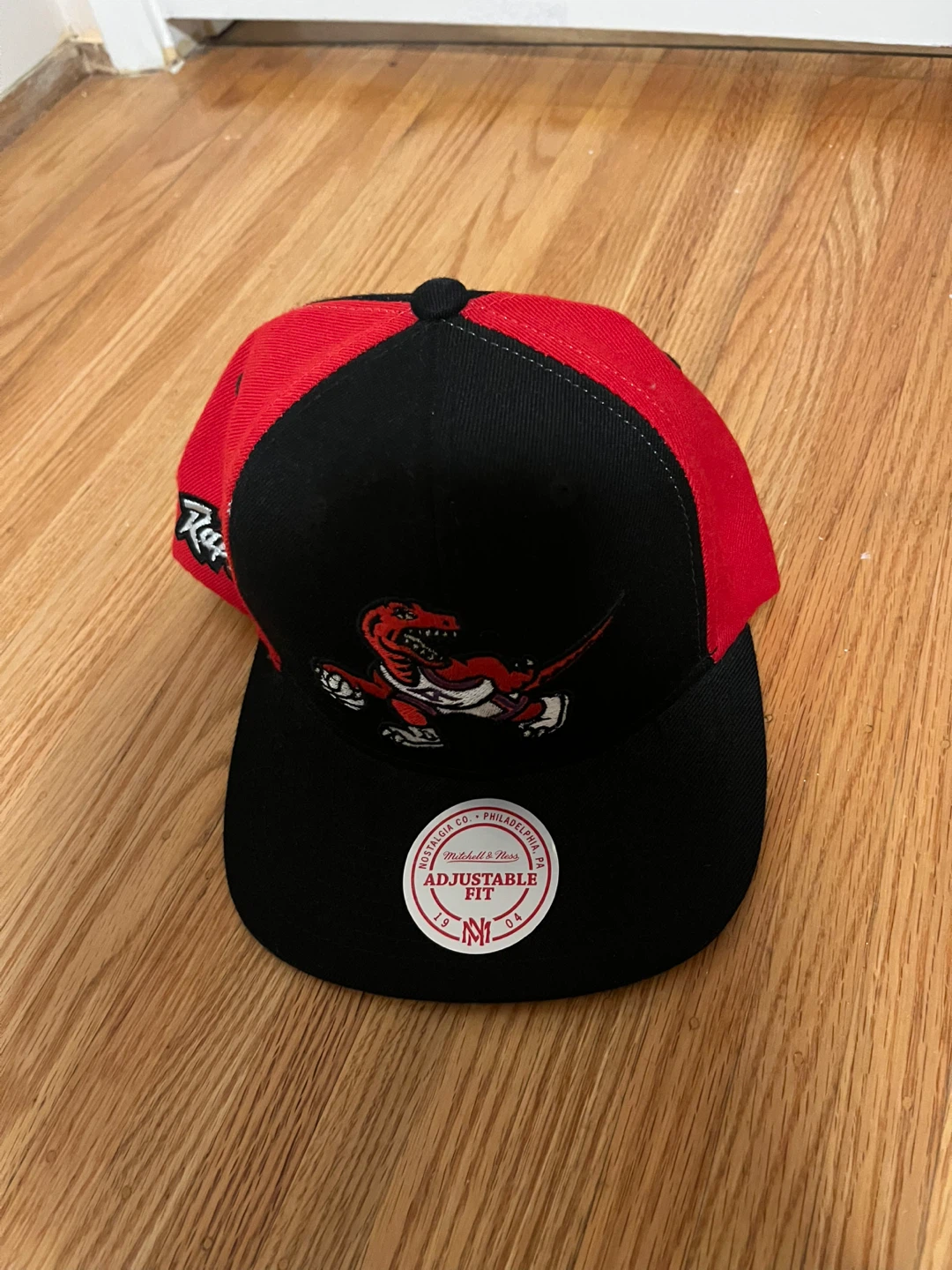 Vintage Toronto Raptors Hat