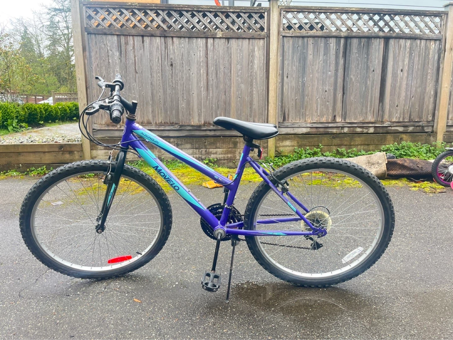 Bike - Purple 26”