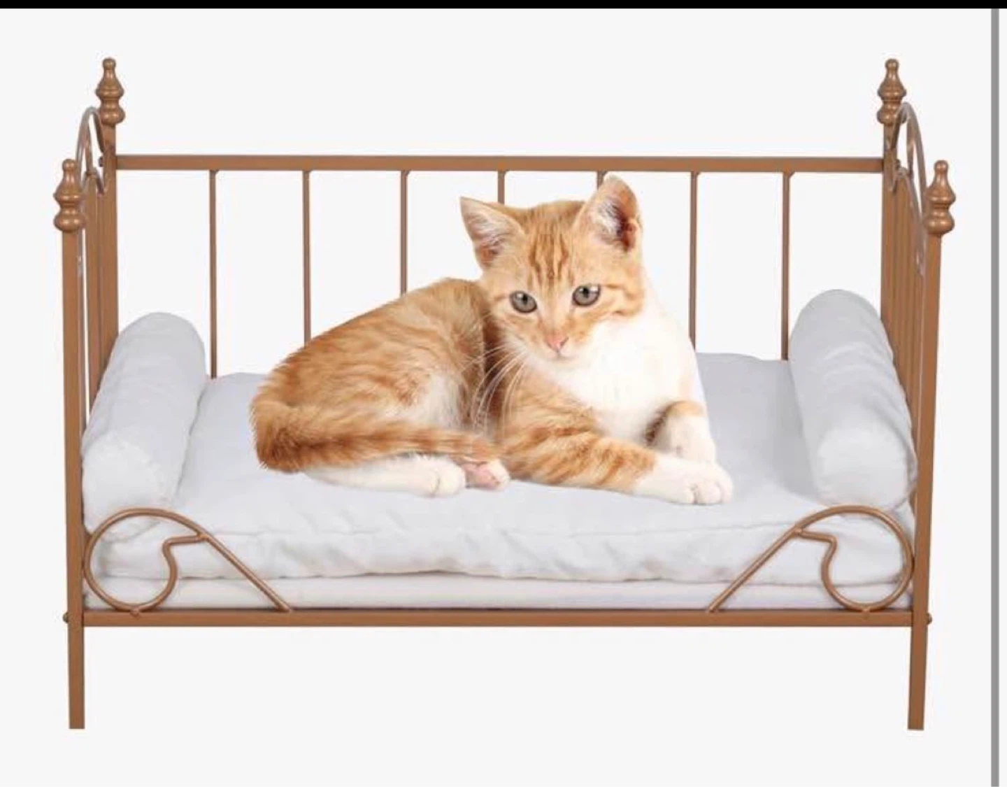 Gold Metal Pet Bed with White Cushion - photo 4