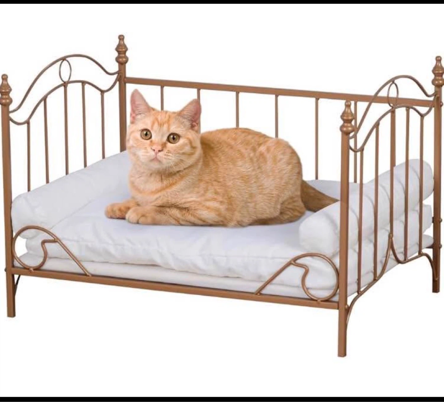 Gold Metal Pet Bed with White Cushion