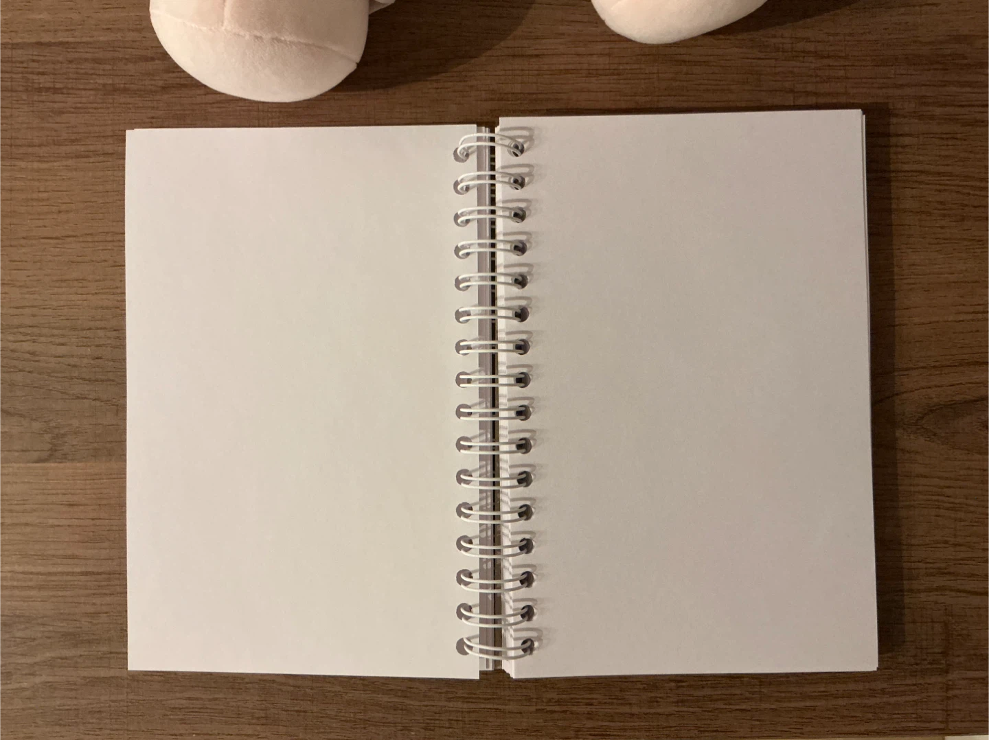 Clairefontaine Mix Media Sketchbook 5.5 x 8.5 in - photo 2