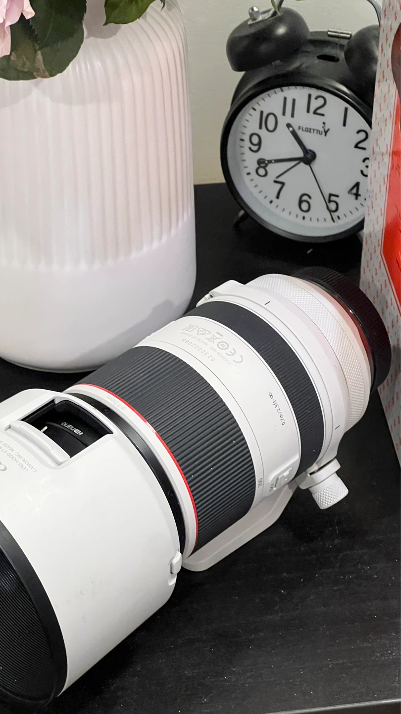 Canon R5 + RF 24-105mm f/4 + RF 70-200mm f/2.8 - photo 4