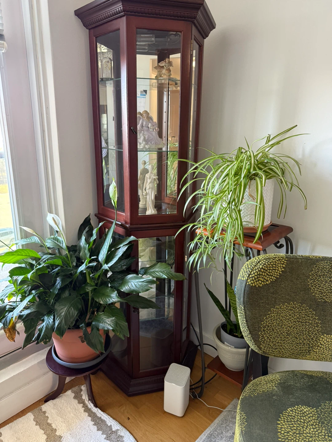 Corner Curio Display Cabinet - photo 2