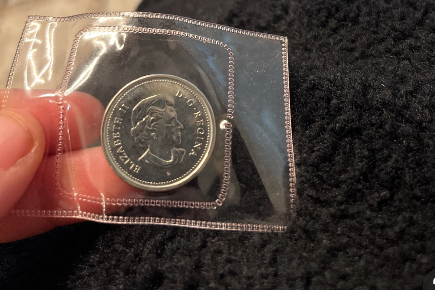 2004 Canada 25 Cent Coin Moose with Pouch - photo 3