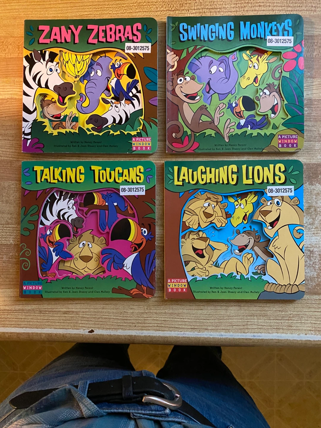 Set of 4 Children's Picture Window Books