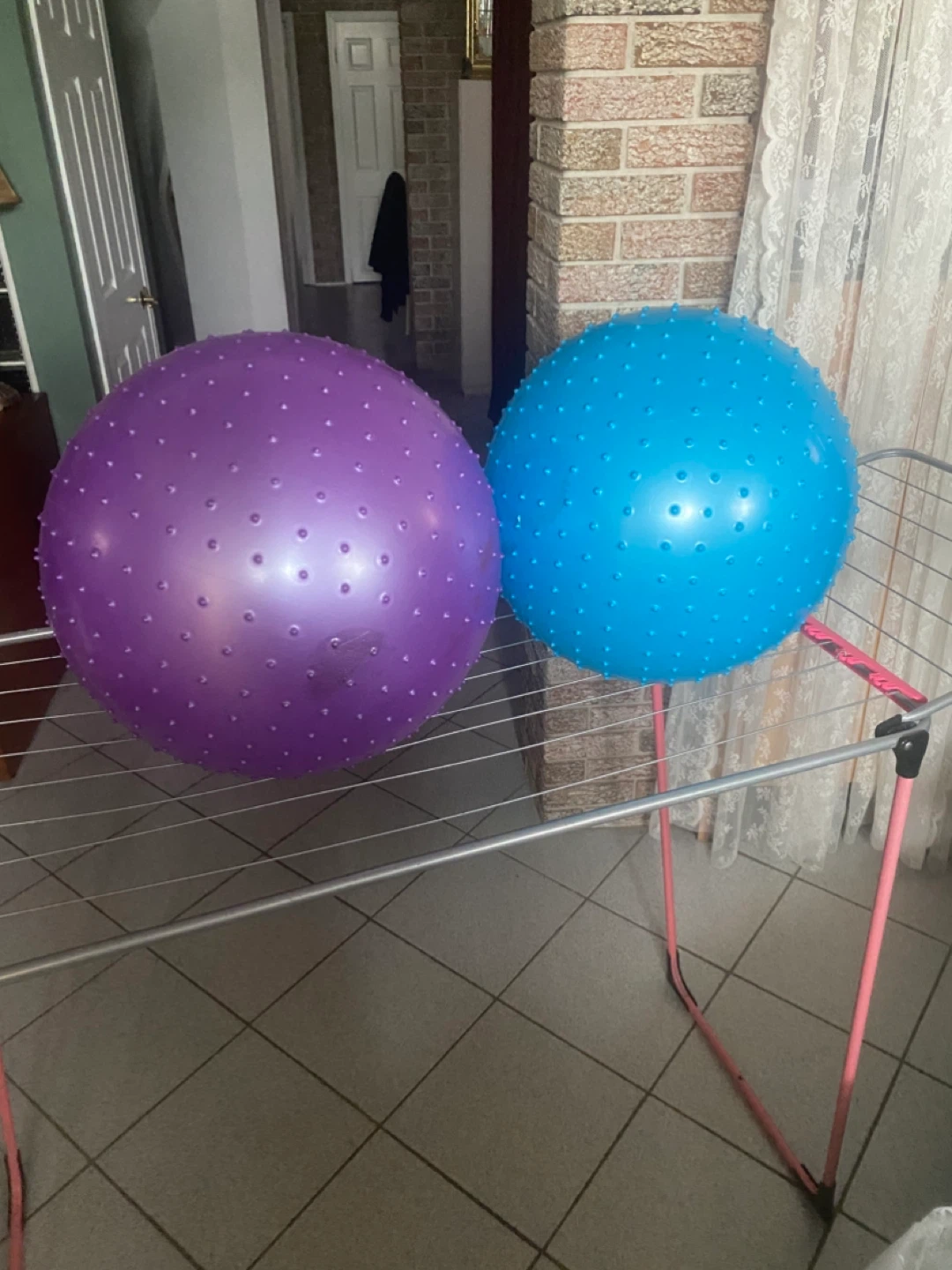 2 Spiky Sensory Balls - Purple and Blue