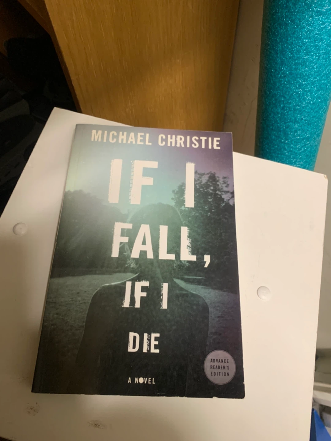 If I Fall, If I Die book by Michael Christie