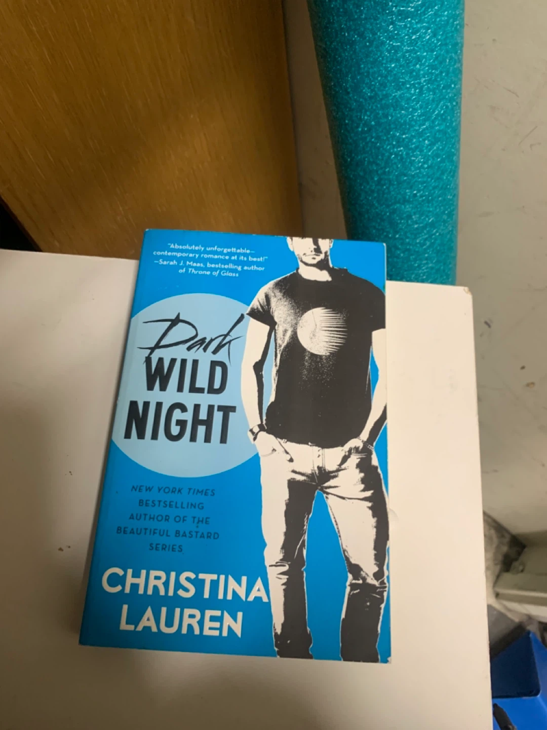 Dark Wild Night by book Christina Lauren