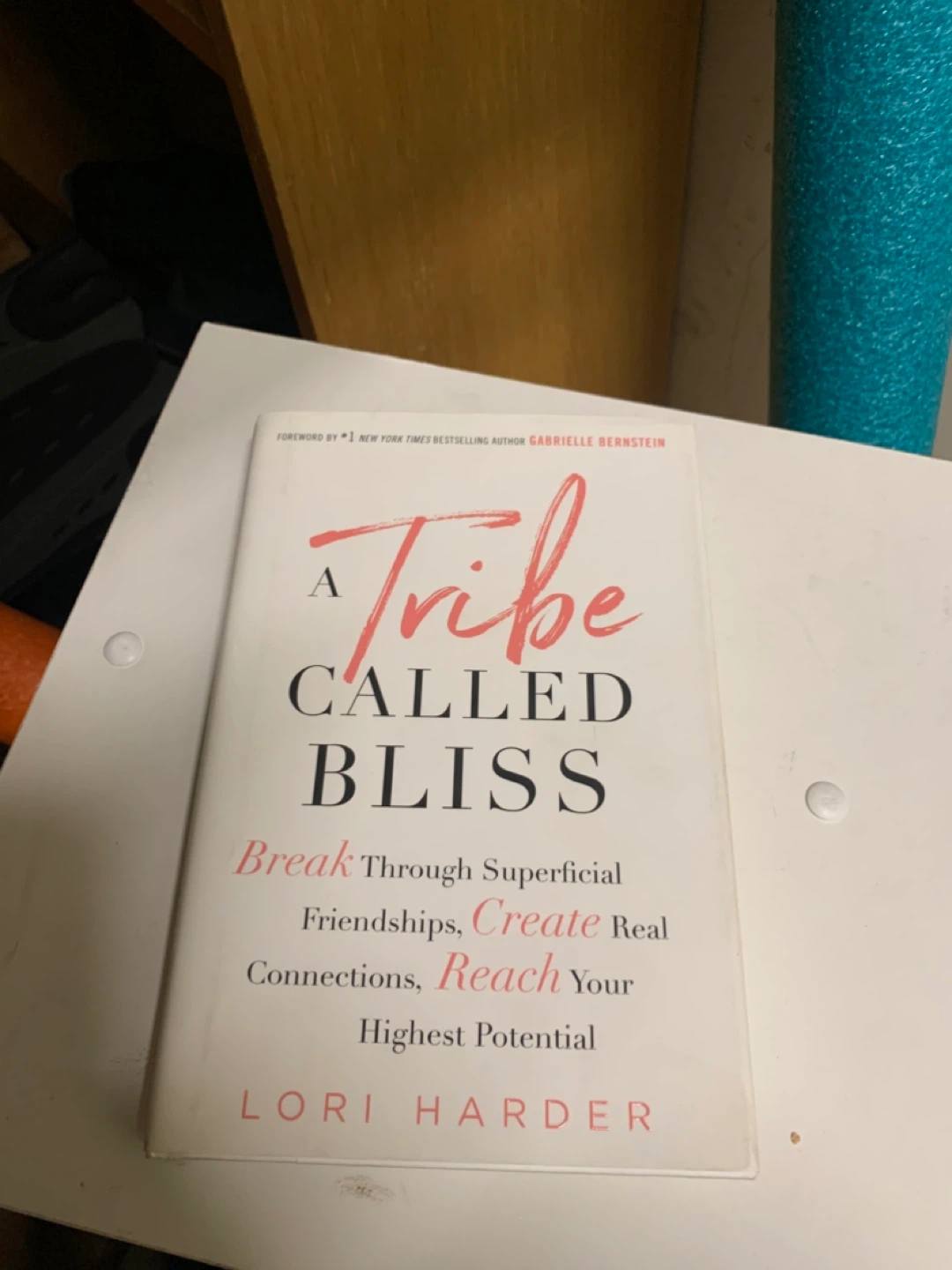 A Tribe Called Bliss by Lori Harder Book
