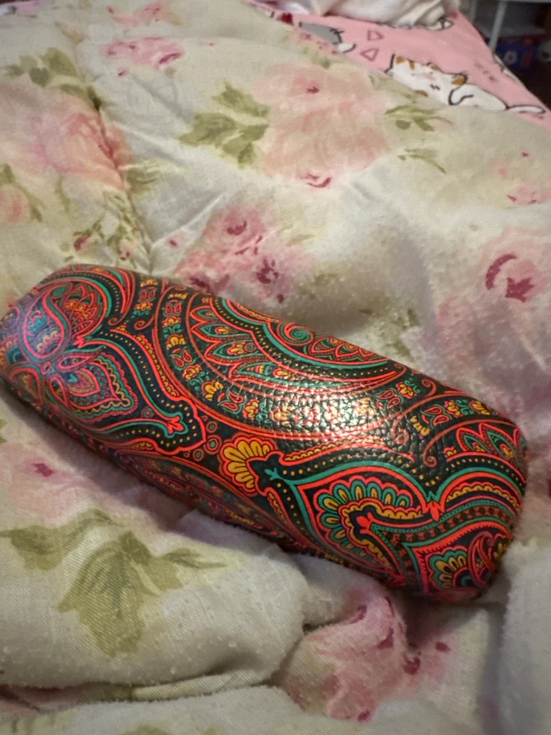 Hard Shell Eyeglass Case