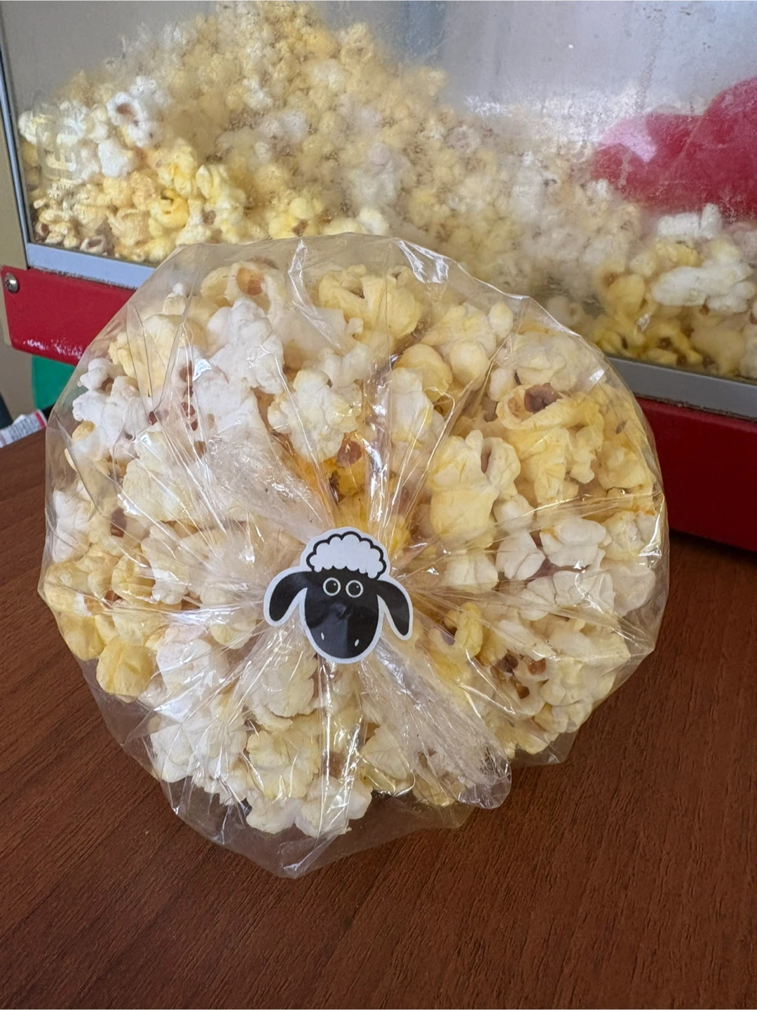 Cotton candy popcorn & Sno-Kone Machine with Syrups! - photo 5