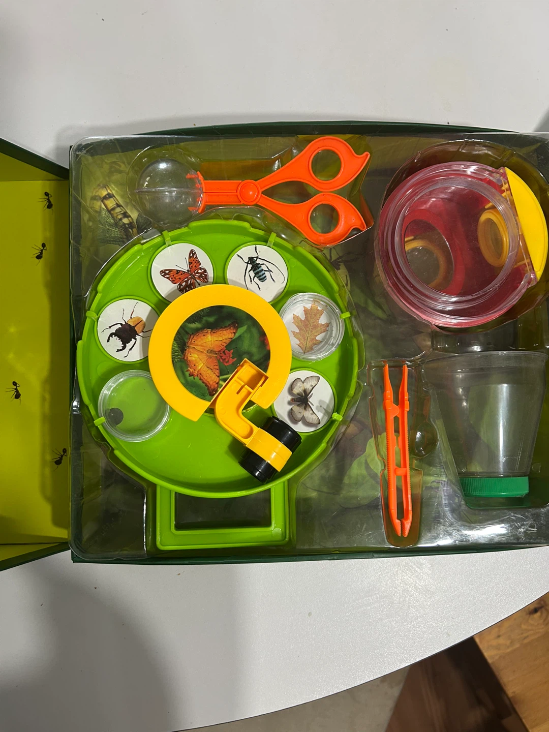 Spice Box Insect Explorer Kit - photo 4
