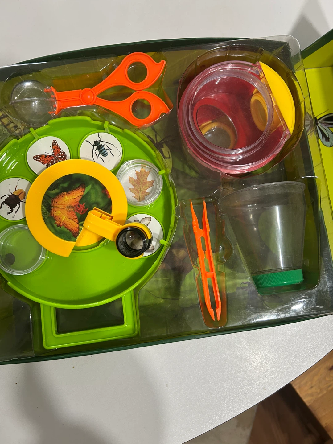 Spice Box Insect Explorer Kit - photo 3