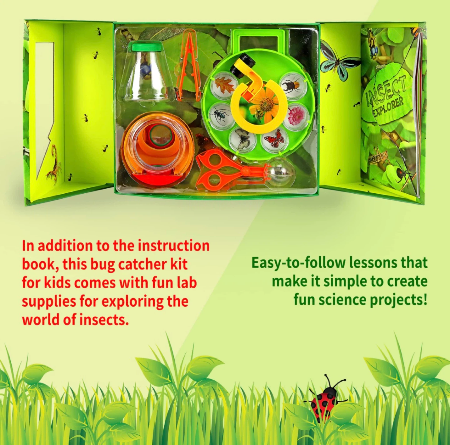 Spice Box Insect Explorer Kit - photo 5