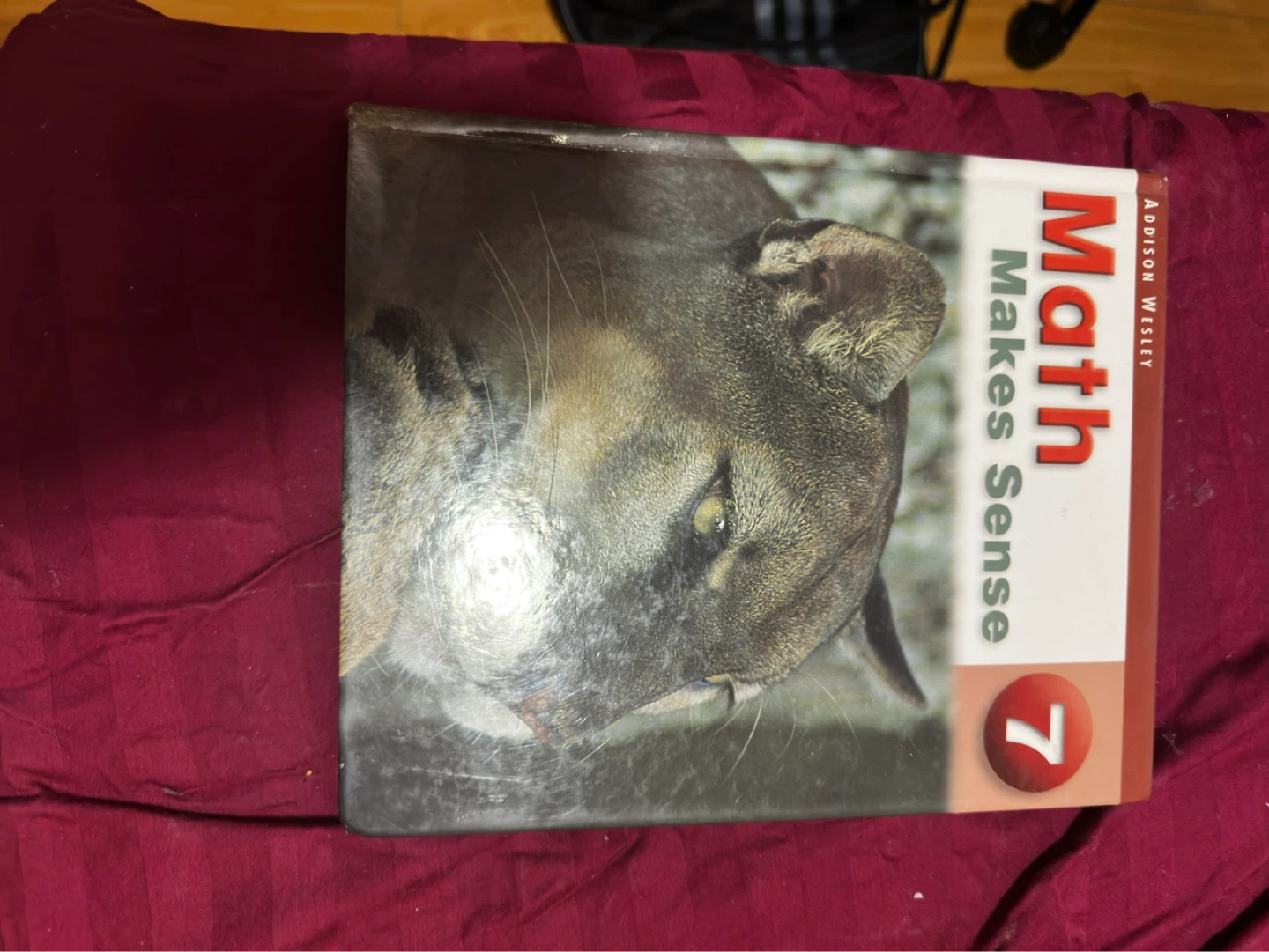 Lot of Kids Books - photo 5