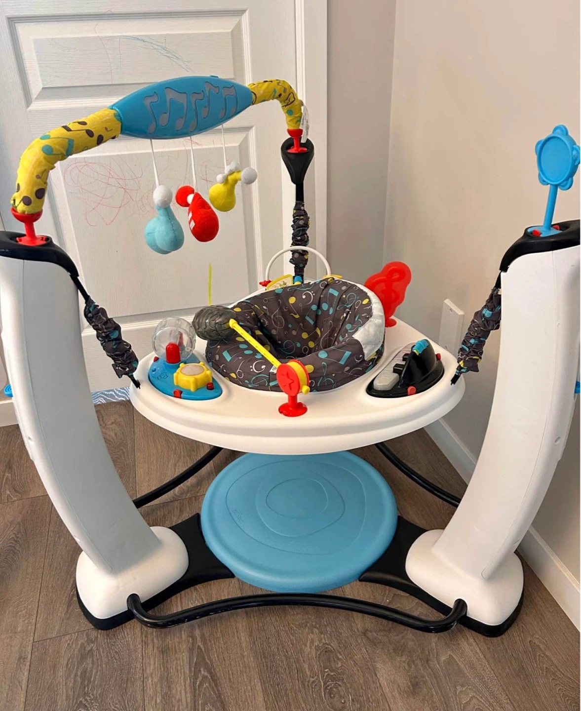 Baby Einstein Musical Motion Activity Jumper
