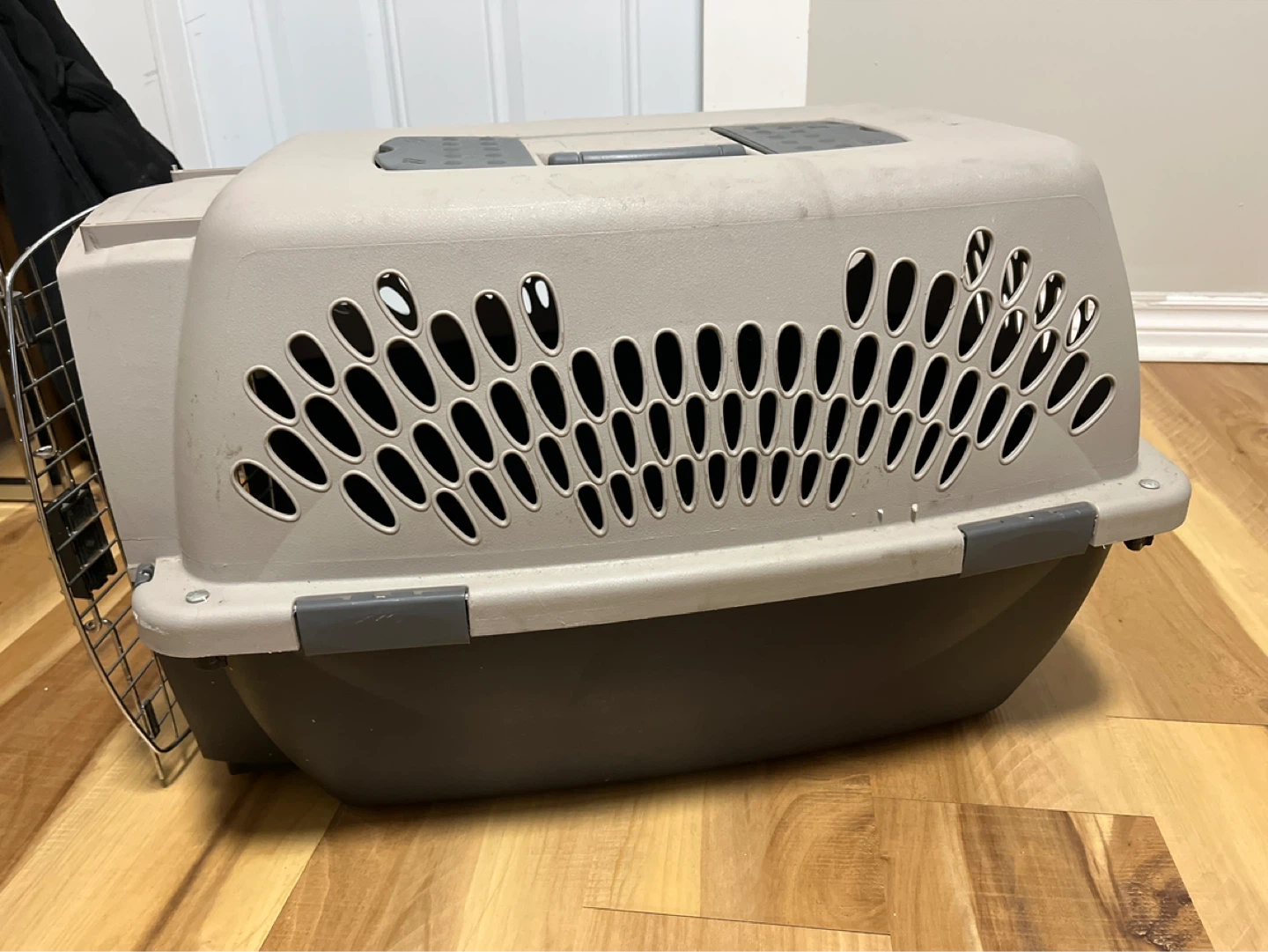 Pet Carrier