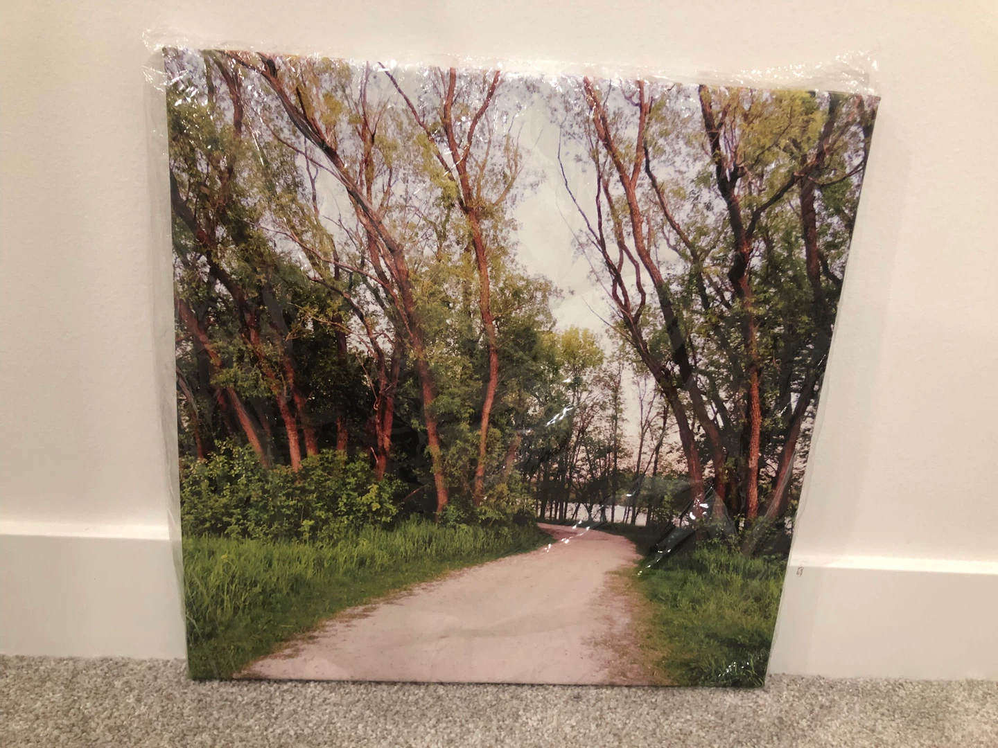 Canvas Print Wall Art