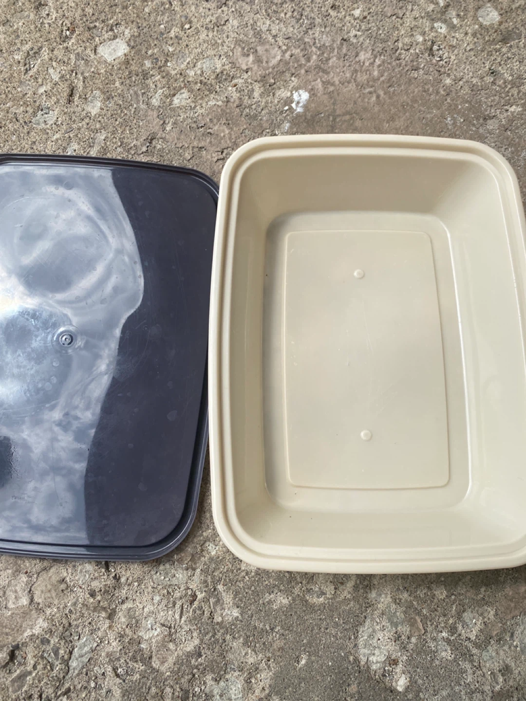 Floral Print Food Container with Lid - photo 2