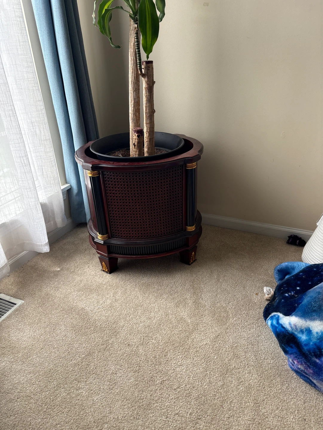 Decorative Cane Plant Stand with Wood Finish
