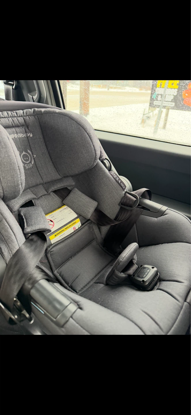 UPPAbaby MESA MAX Infant Car Seat - photo 2