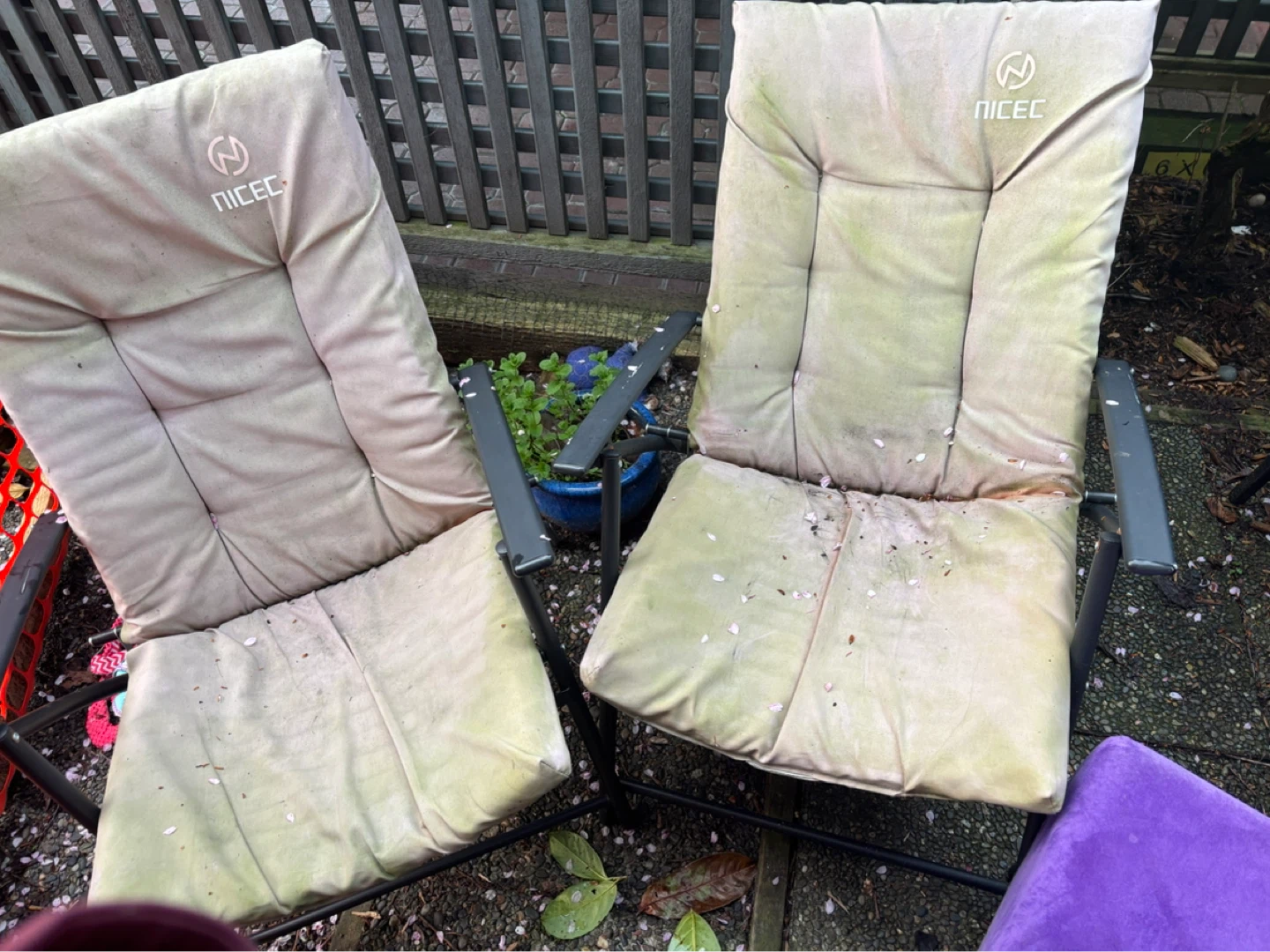 NICECE Padded Folding Chairs
