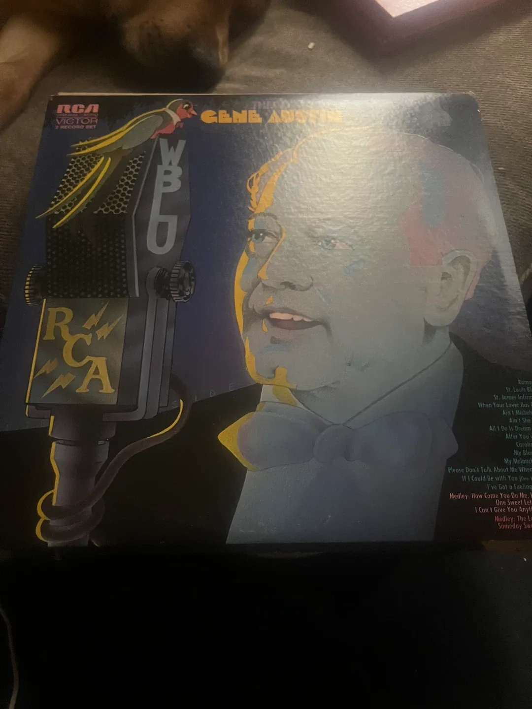 Gene Austin 2 Record Set Vinyl Record RCA Victor