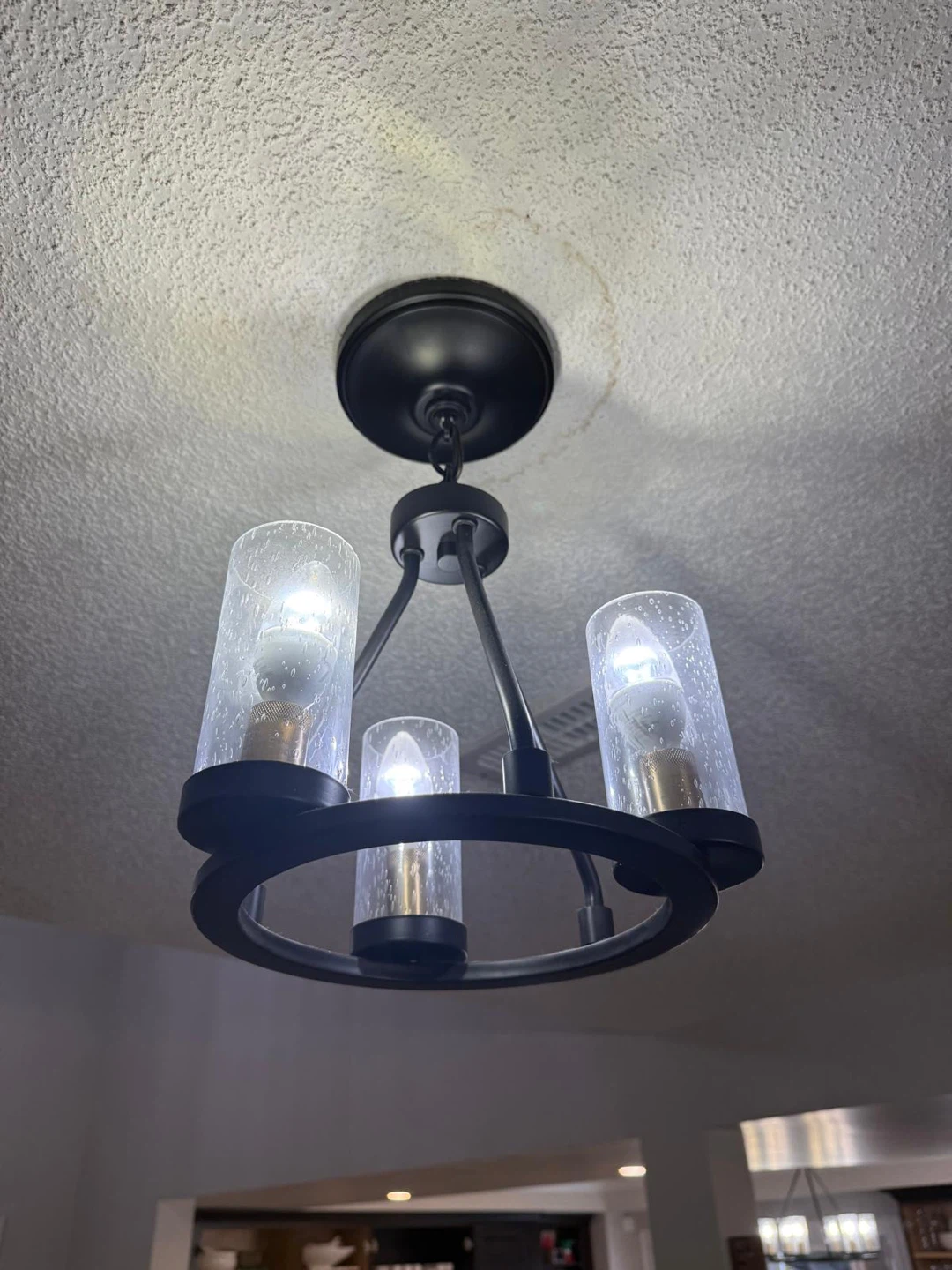 Black Chandelier Light Fixtures with Glass Shades