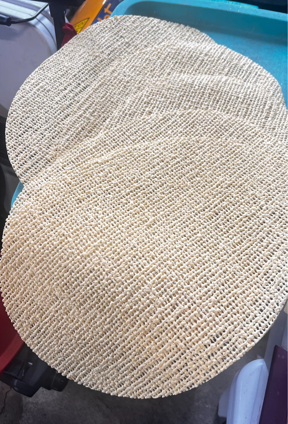 Five Oval-Shaped PlaceMats